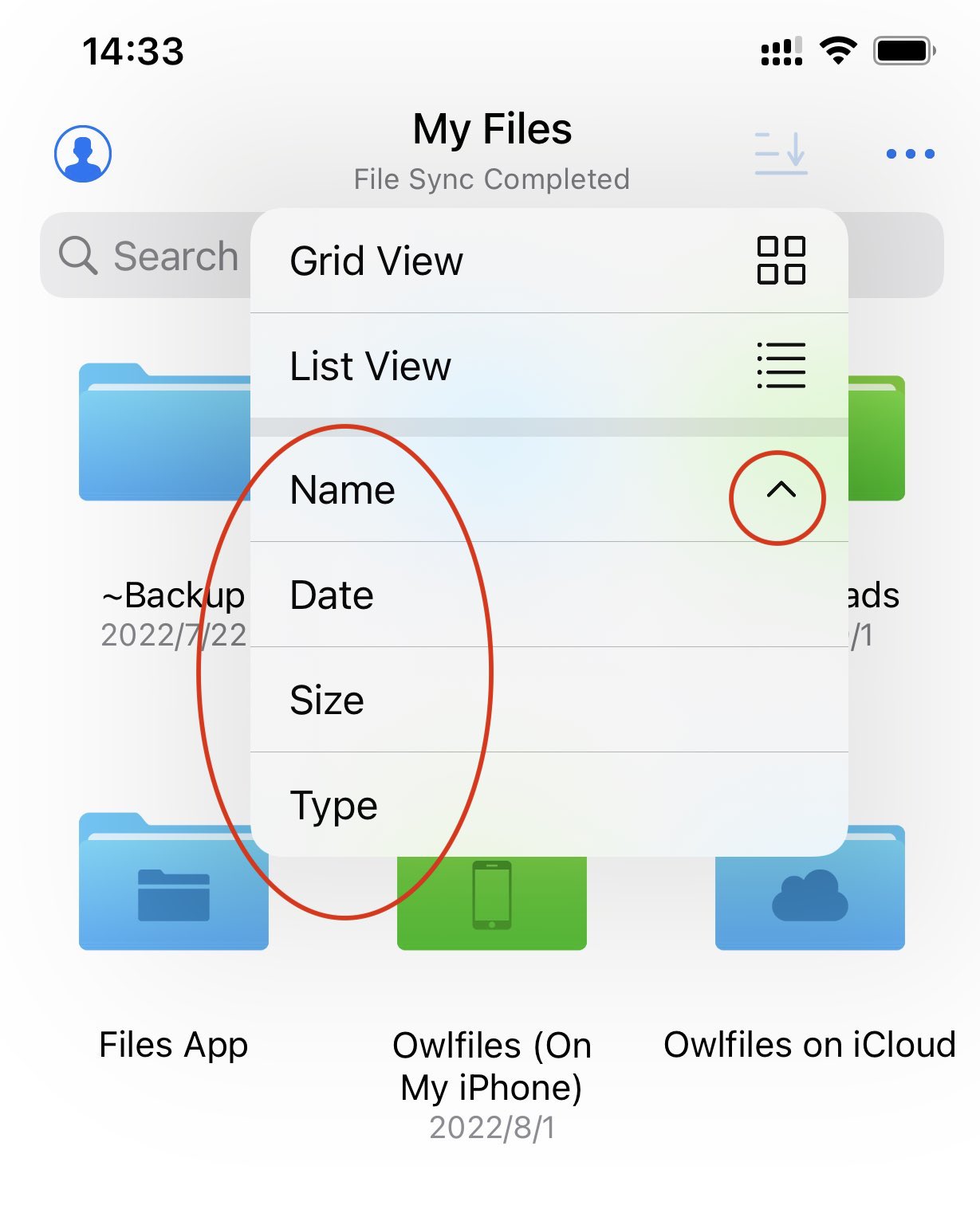 Das Sortiermenü in Owlfiles für iOS