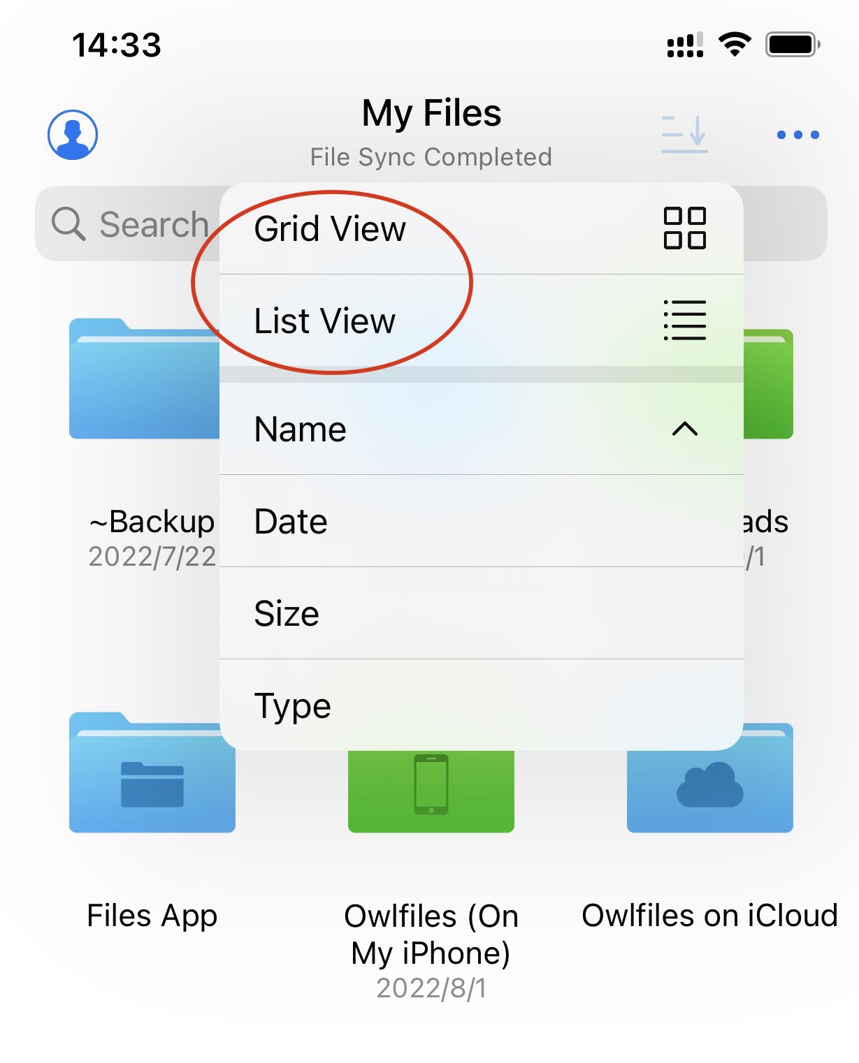 Die Steuerelemente für Listen- und Rasteransicht in Owlfiles für iOS