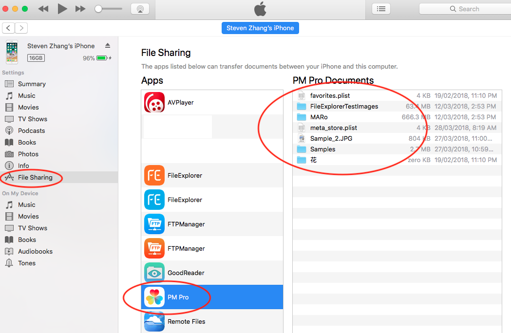 The File Sharing Documents section in iTunes