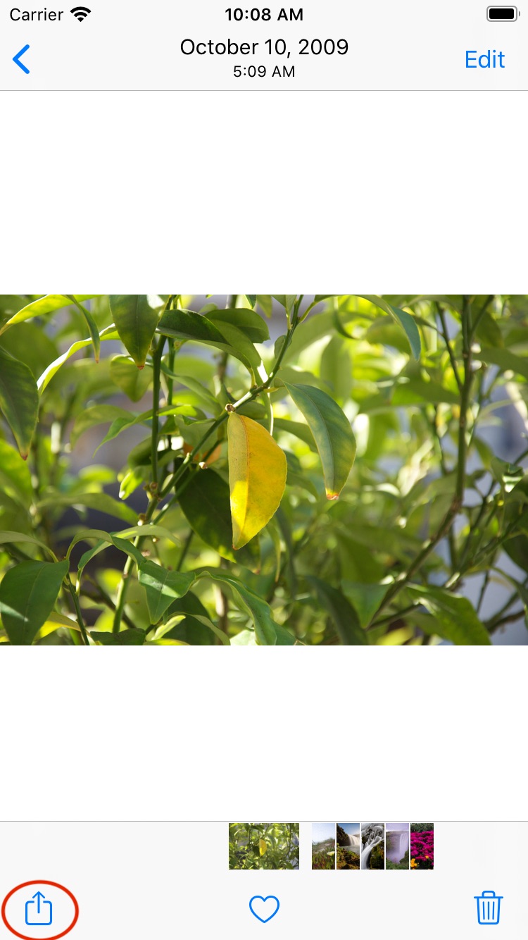 iOS 照片分享菜单